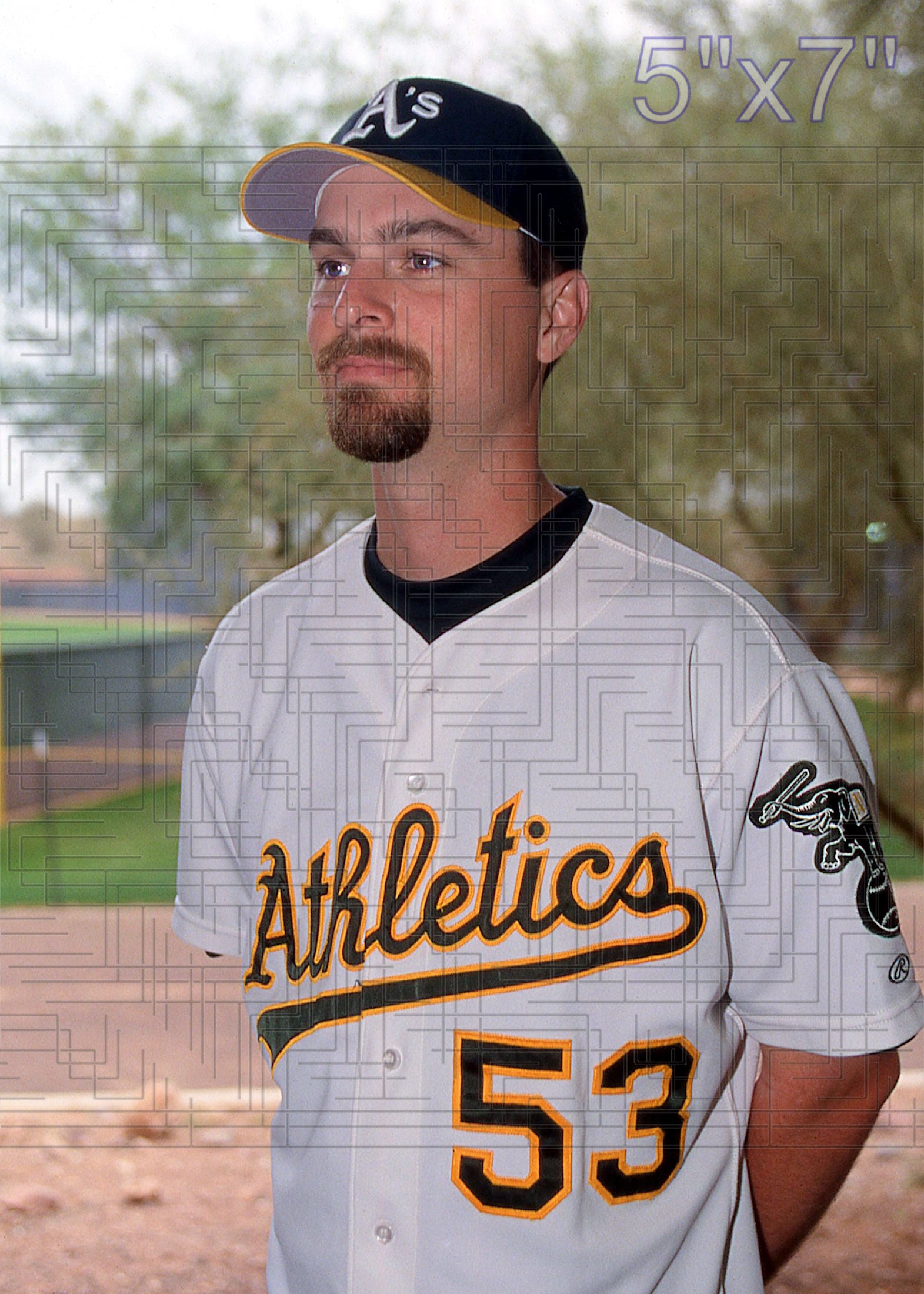 Chad Bradford - 2003 Oakland Athletics - choose a size & style