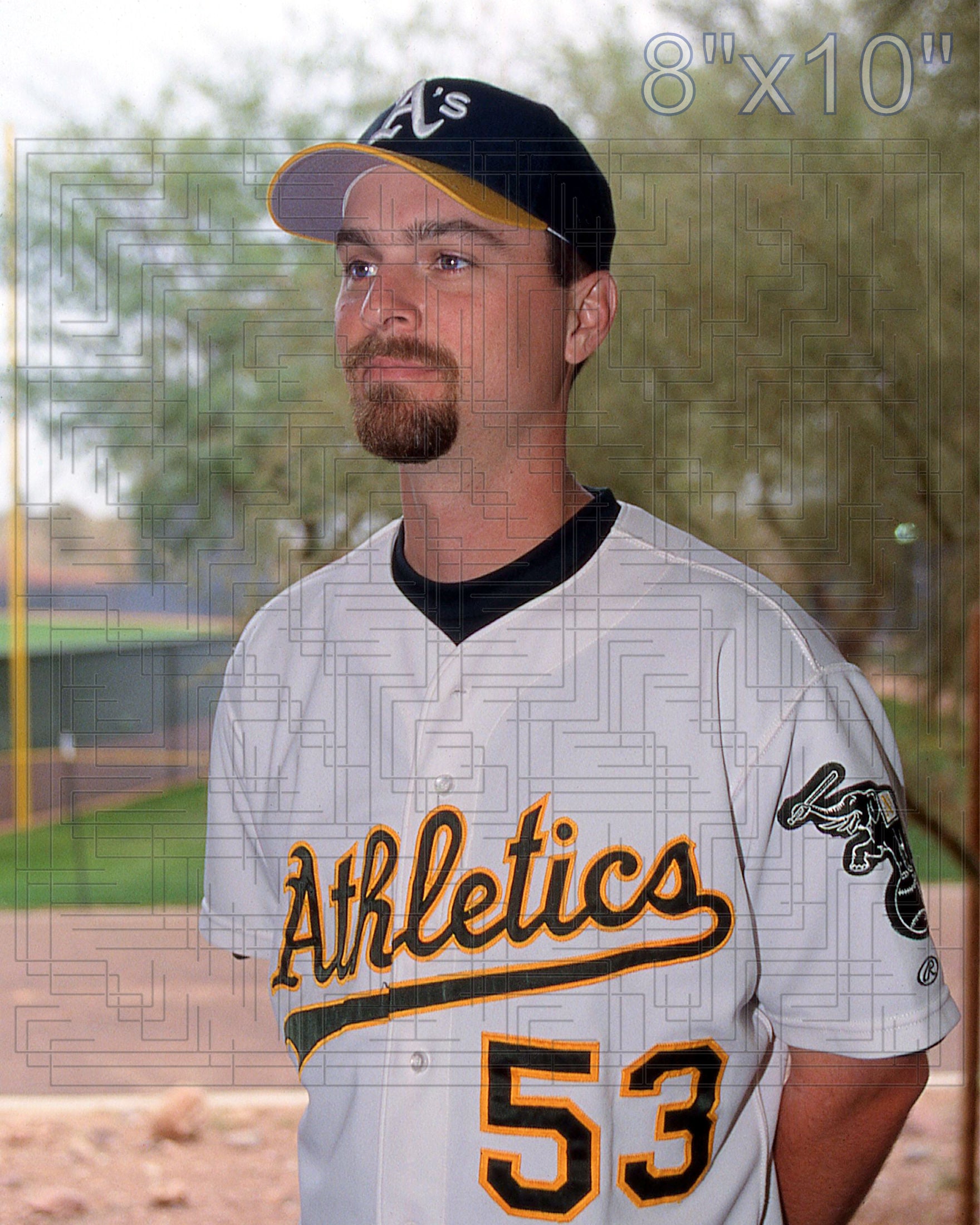 Chad Bradford - 2003 Oakland Athletics - choose a size & style