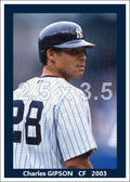 Charles Gipson - 2003 New York Yankees - choose a size & style