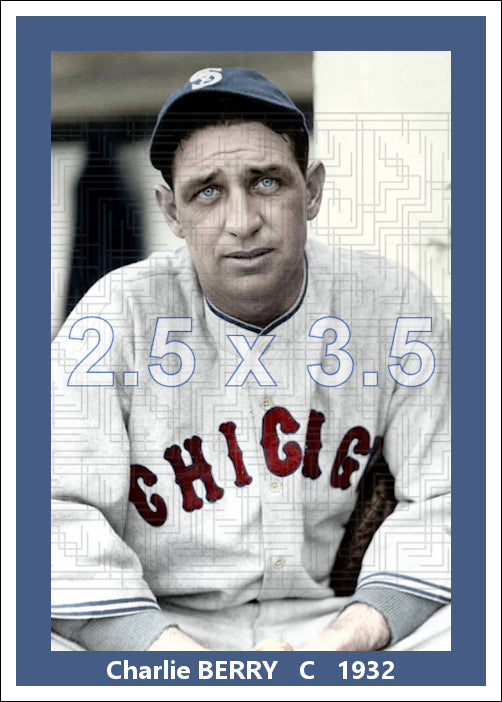 Charlie Berry - 1932 Chicago White Sox - choose a size & style
