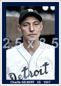 Charlie Gelbert - 1937 Detroit Tigers - choose a size & style