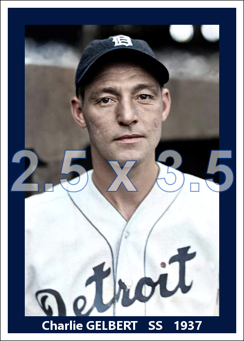 Charlie Gelbert - 1937 Detroit Tigers - choose a size & style