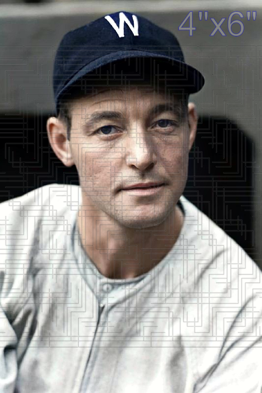 Charlie Gelbert - 1939 Washington Senators - choose a size & style