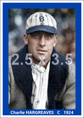 Charlie Hargreaves - 1924 Brooklyn Robins - choose a size & style