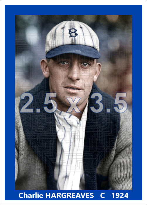 Charlie Hargreaves - 1924 Brooklyn Robins - choose a size & style