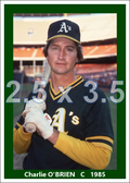 Charlie O'Brien - 1985 Oakland Athletics - choose a size & style