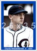 Charlie Wiedemeyer - 1934 Chicago Cubs - choose a size & style