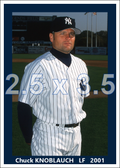 Chuck Knoblauch - 2001 New York Yankees - choose a size & style