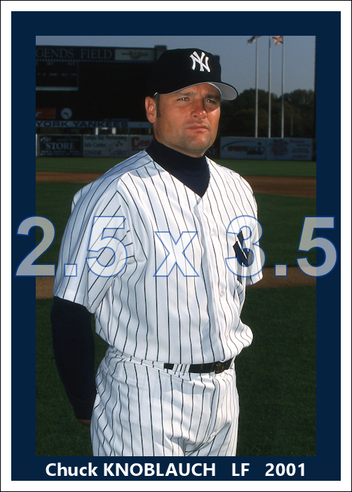 Chuck Knoblauch - 2001 New York Yankees - choose a size & style