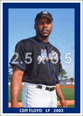 Cliff Floyd - 2003 New York Mets - choose a size & style
