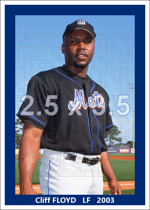 Cliff Floyd - 2003 New York Mets - choose a size & style