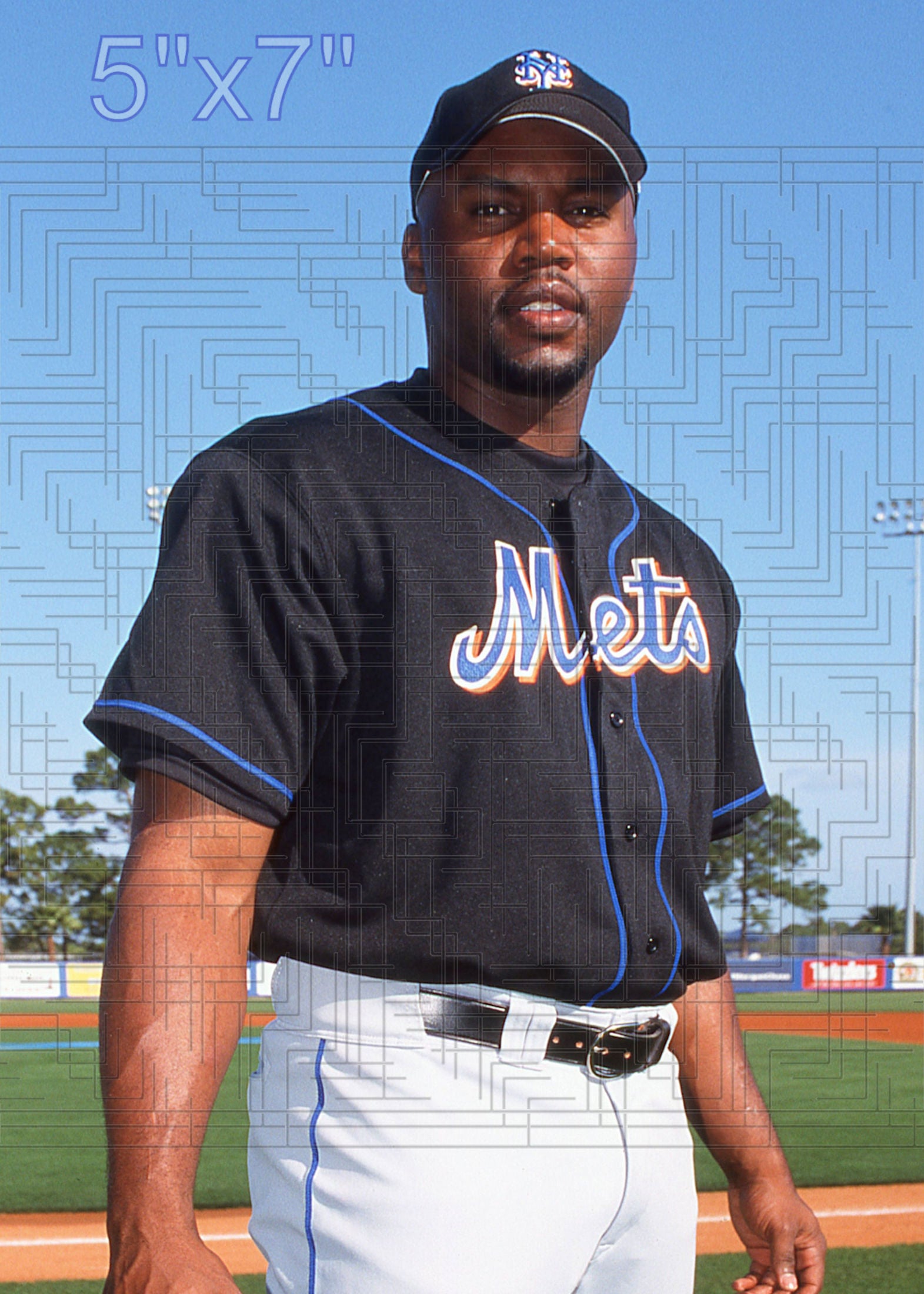 Cliff Floyd - 2003 New York Mets - choose a size & style