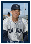 Cot Deal - 1965 New York Yankees - choose a size & style