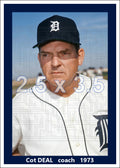 Cot Deal - 1973 Detroit Tigers - choose a size & style