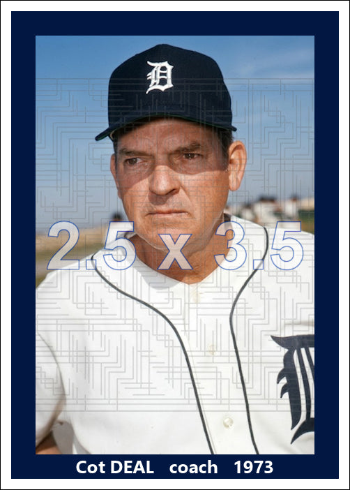Cot Deal - 1973 Detroit Tigers - choose a size & style