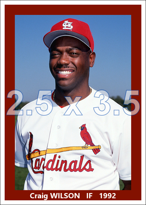 Craig Wilson - 1992 St. Louis Cardinals - choose a size & style