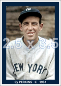 Cy Perkins - 1931 New York Yankees - choose a size & style