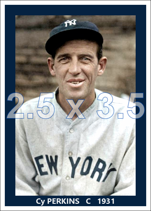 Cy Perkins - 1931 New York Yankees - choose a size & style