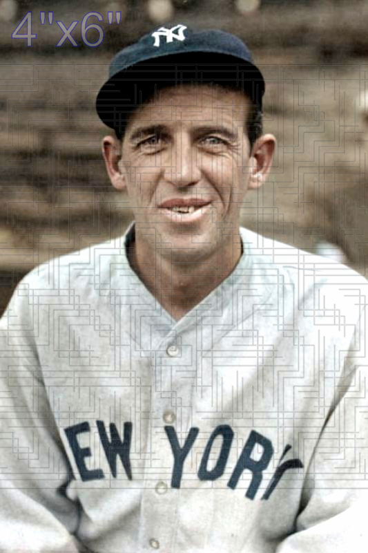 Cy Perkins - 1931 New York Yankees - choose a size & style