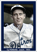 Cy Perkins - 1935 Detroit Tigers - choose a size & style