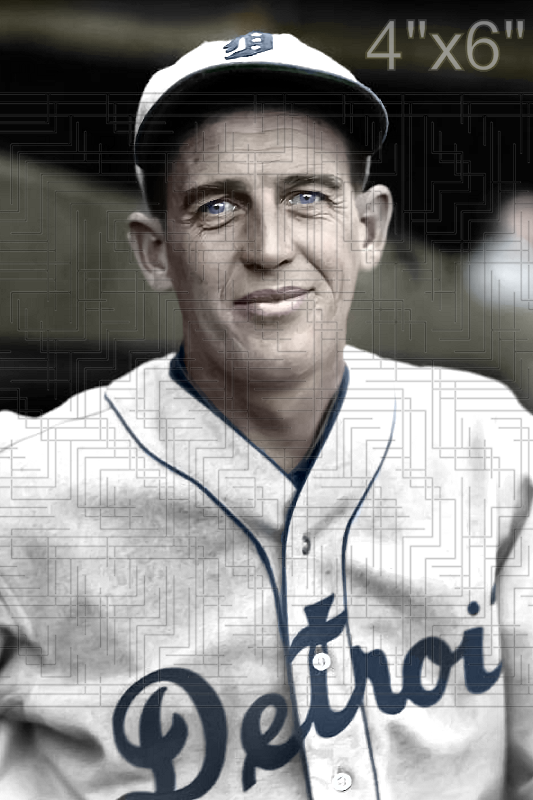 Cy Perkins - 1935 Detroit Tigers - choose a size & style