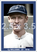 Cy Williams - 1918 Philadelphia Phillies - choose a size & style