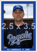 D.J. Carrasco - 2003 Kansas City Royals - choose a size & style