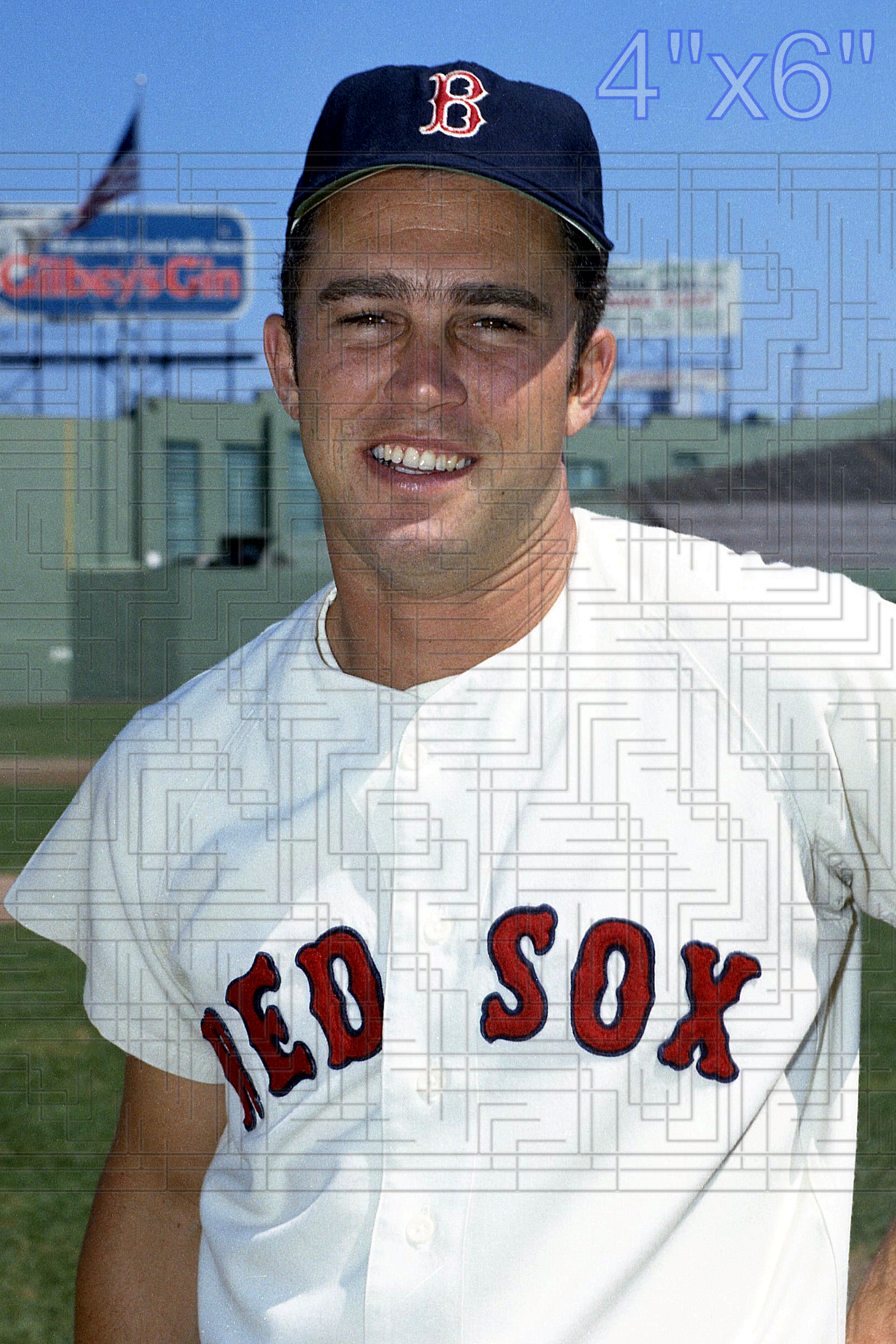 Dalton Jones - 1969 Boston Red Sox - choose a size & style