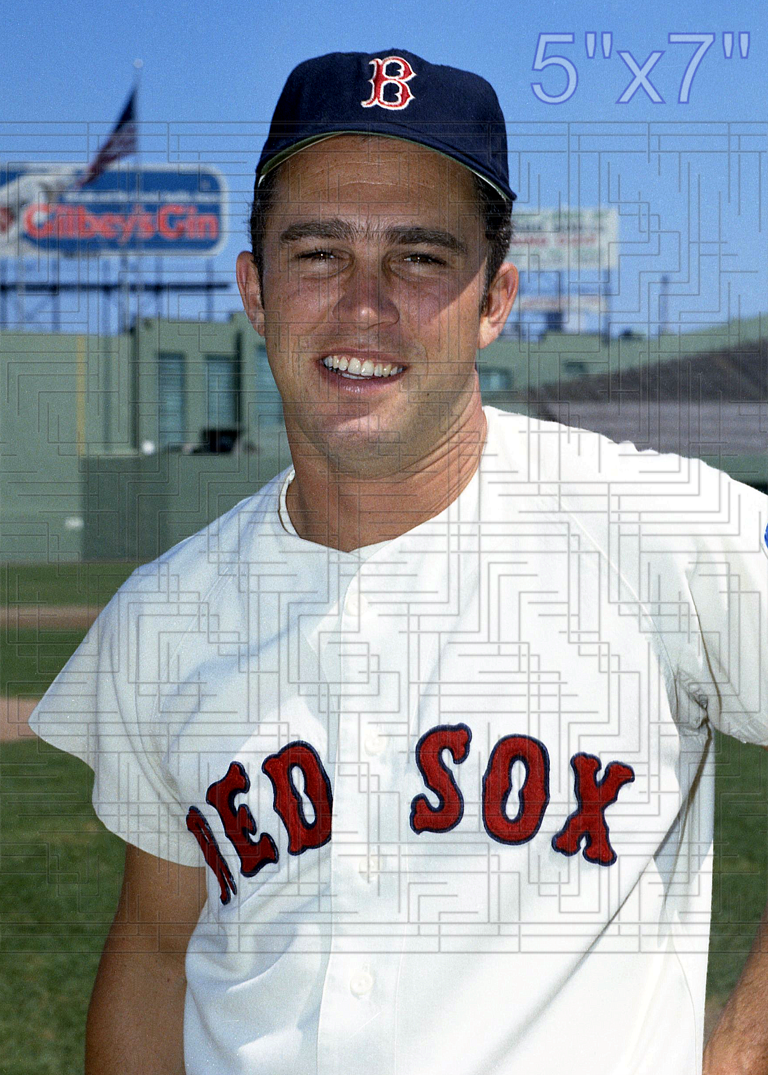 Dalton Jones - 1969 Boston Red Sox - choose a size & style