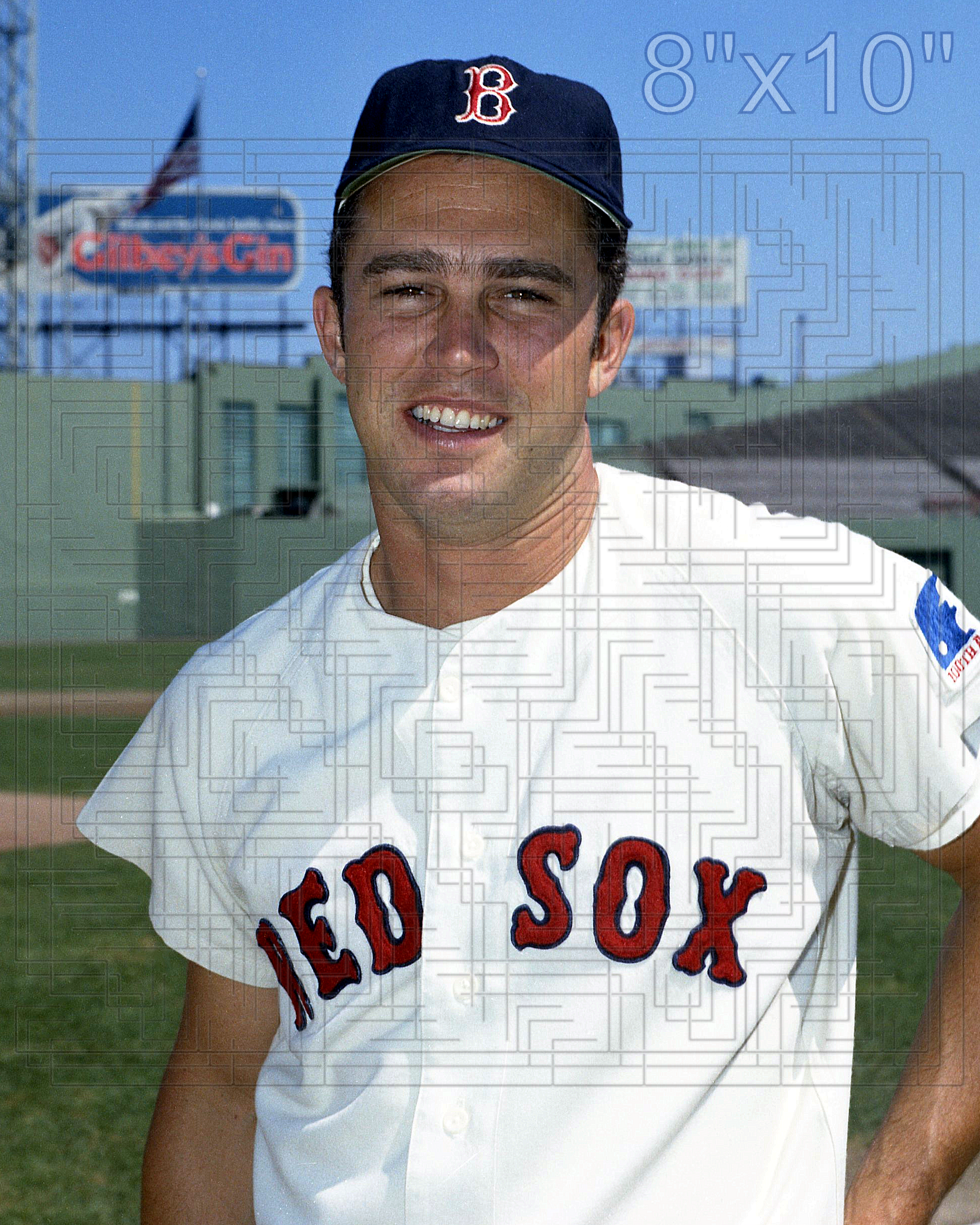 Dalton Jones - 1969 Boston Red Sox - choose a size & style