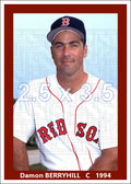 Damon Berryhill - 1994 Boston Red Sox - choose a size & style