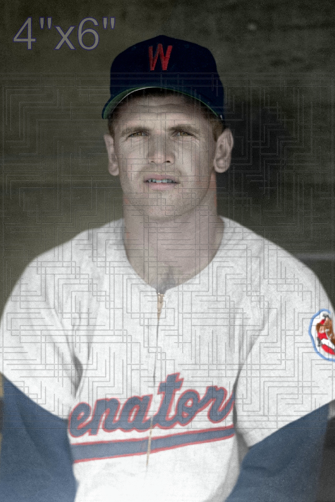 Dan Dobbek - 1960 Washington Senators - choose a size & style