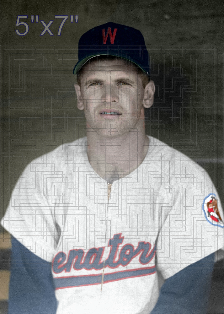 Dan Dobbek - 1960 Washington Senators - choose a size & style