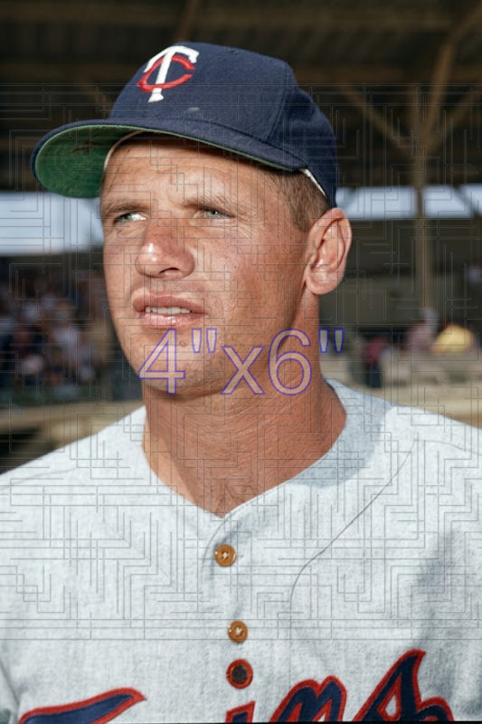 Dan Dobbek - 1961 Minnesota Twins - choose a size & style