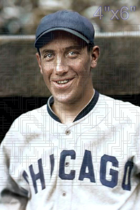 Dan Dugan - 1929 Chicago White Sox - choose a size & style