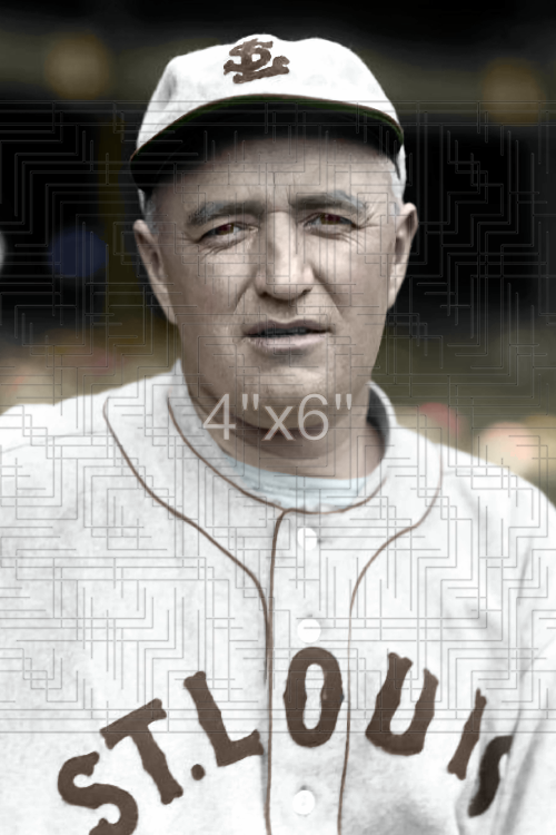 Dan Howley - 1927 St. Louis Browns - choose a size & style