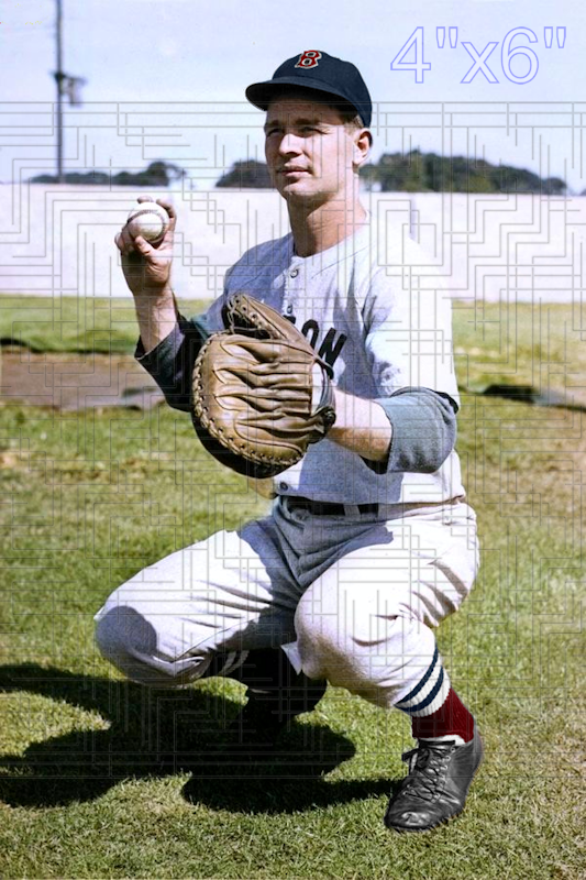 Danny Doyle - 1943 Boston Red Sox - choose a size & style
