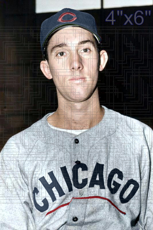 Danny Lynch - 1948 Chicago Cubs - choose a size & style