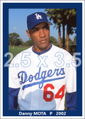 Danny Mota - 2002 Los Angeles Dodgers - choose a size & style