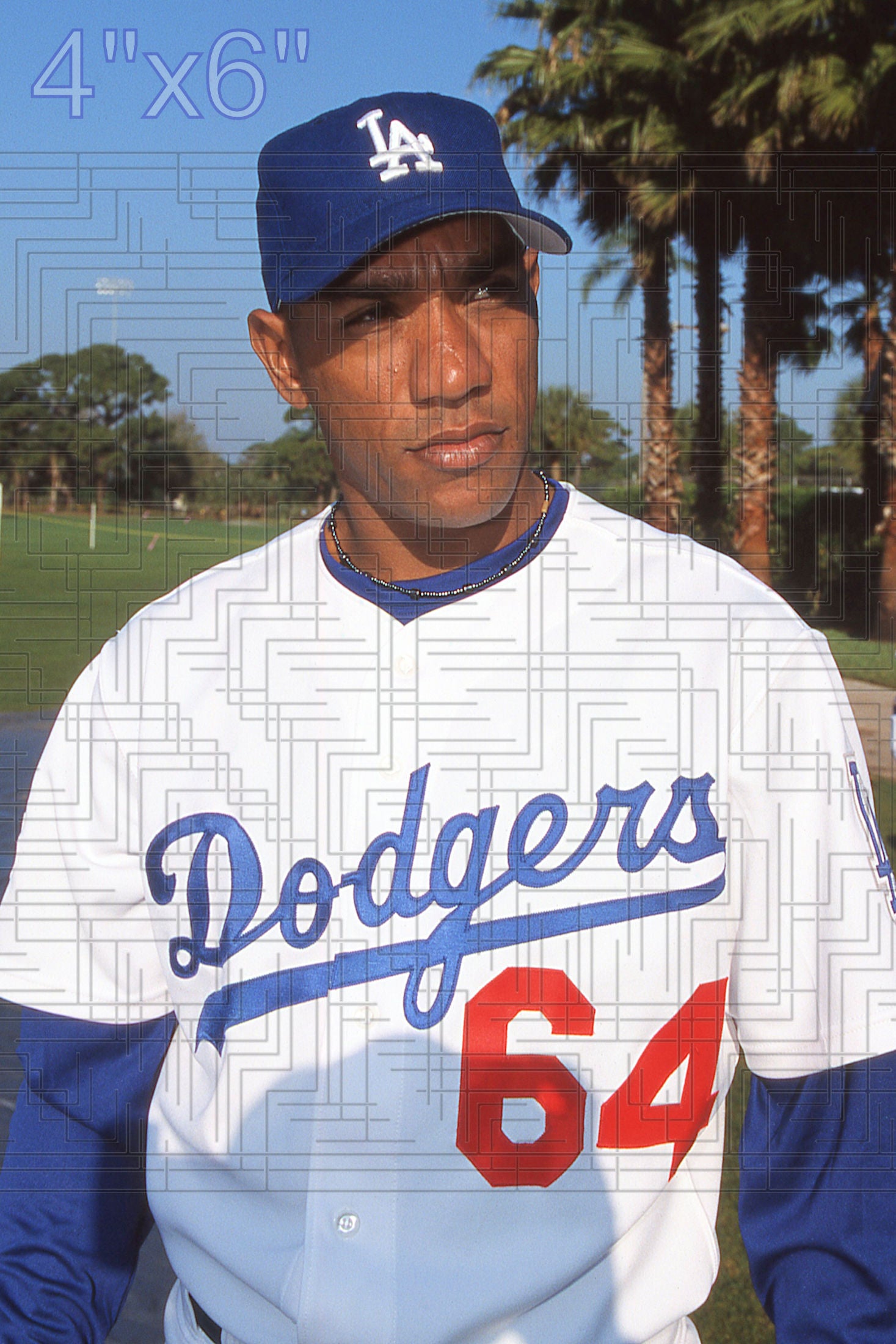 Danny Mota - 2002 Los Angeles Dodgers - choose a size & style