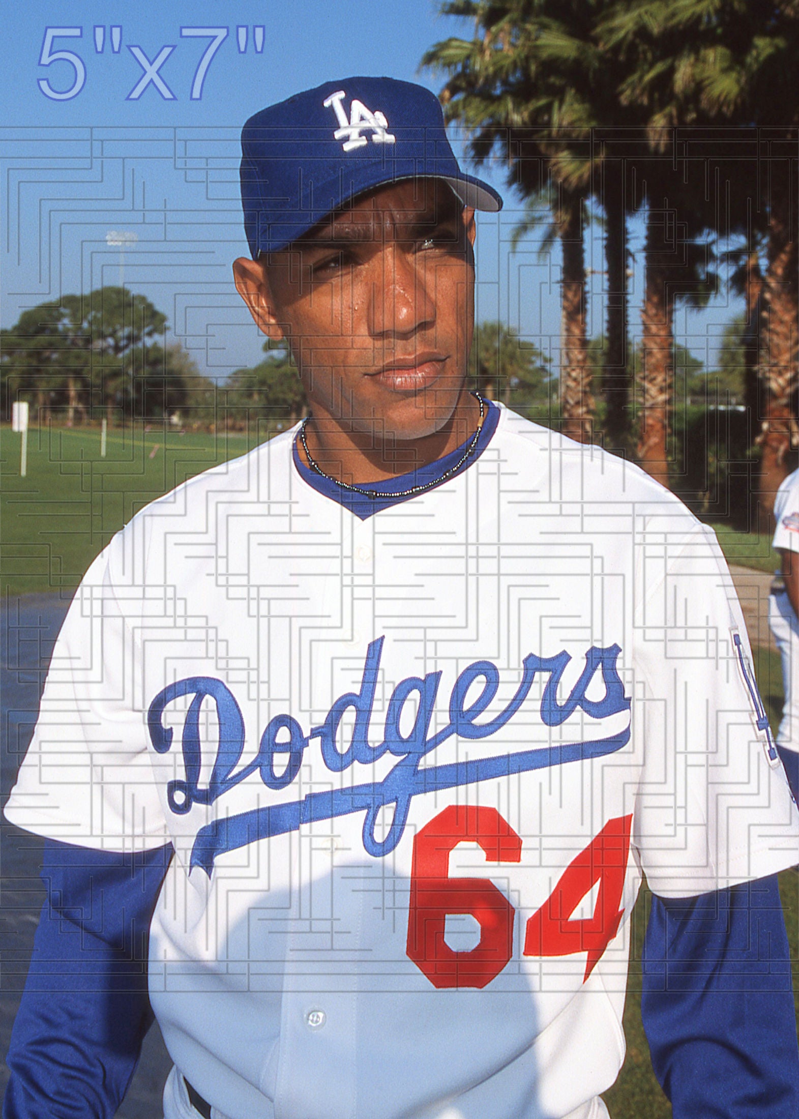 Danny Mota - 2002 Los Angeles Dodgers - choose a size & style