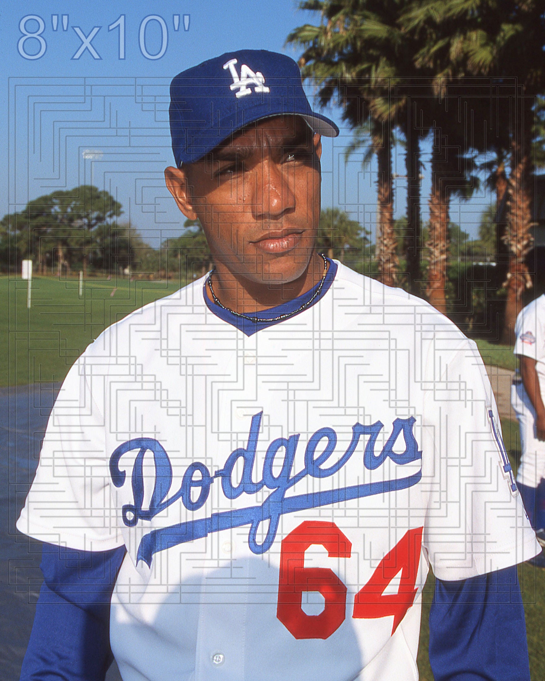 Danny Mota - 2002 Los Angeles Dodgers - choose a size & style