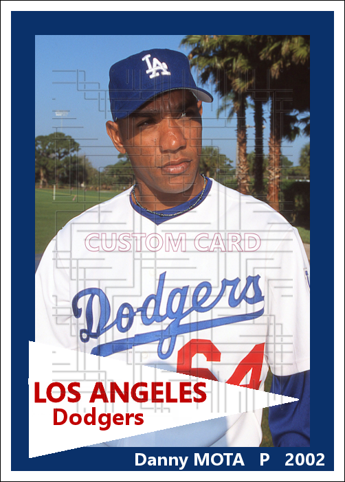 Danny Mota - 2002 Los Angeles Dodgers - choose a size & style