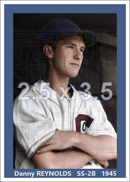 Danny Reynolds - 1945 Chicago White Sox - choose a size & style