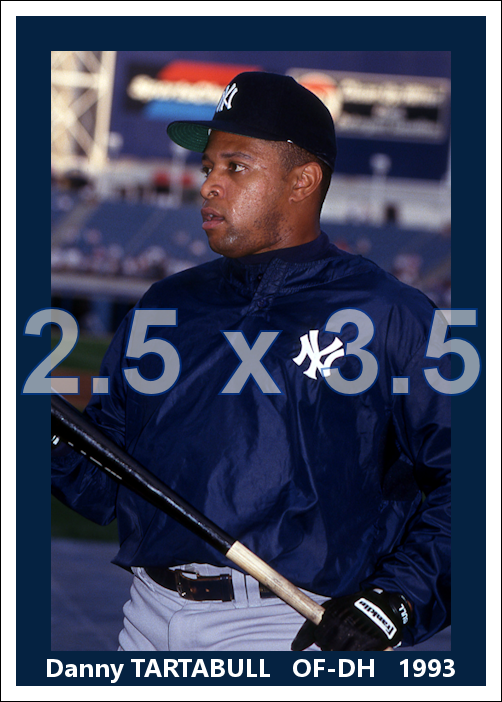 Danny Tartabull - 1993 New York Yankees - choose a size & style