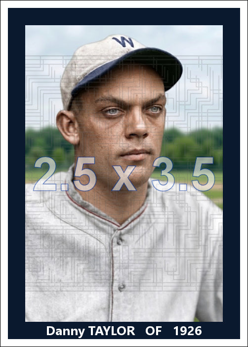 Danny Taylor - 1926 Washington Senators - choose a size & style