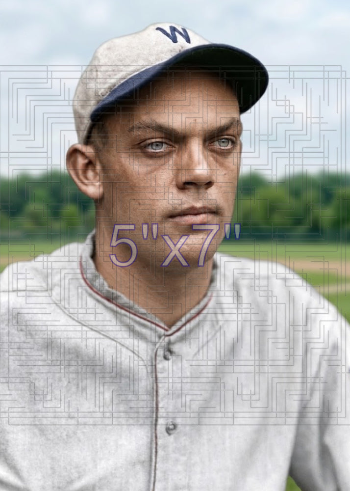 Danny Taylor - 1926 Washington Senators - choose a size & style