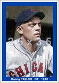 Danny Taylor - 1930 Chicago Cubs - choose a size & style