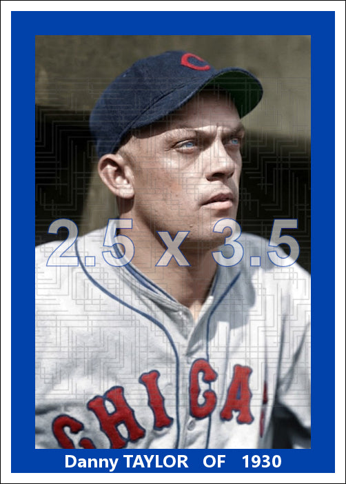 Danny Taylor - 1930 Chicago Cubs - choose a size & style