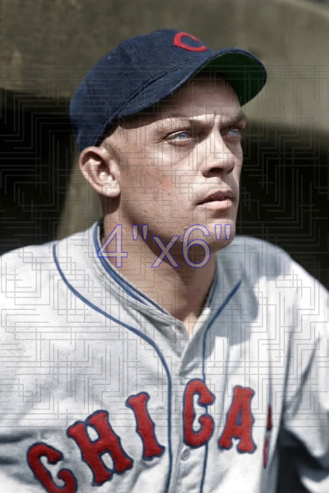 Danny Taylor - 1930 Chicago Cubs - choose a size & style